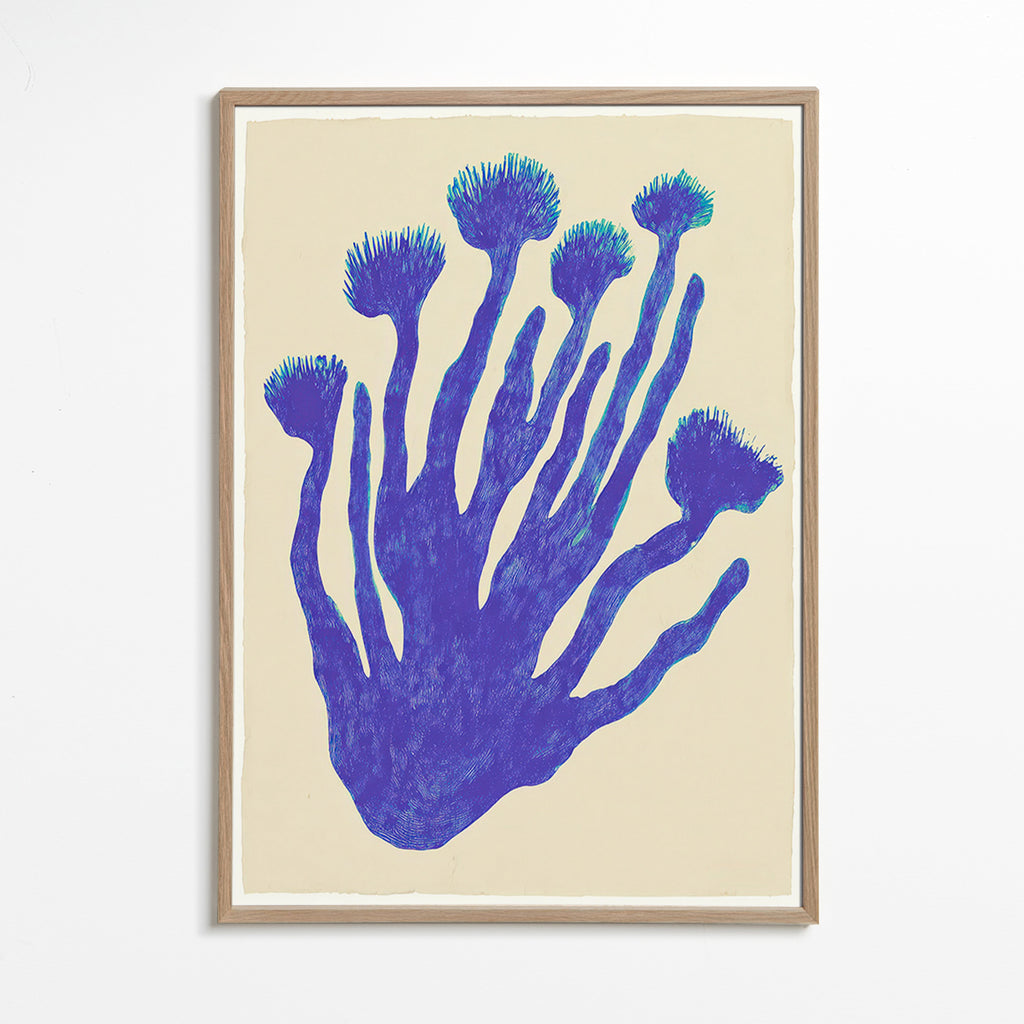 Botanický plakát Indigo Coral