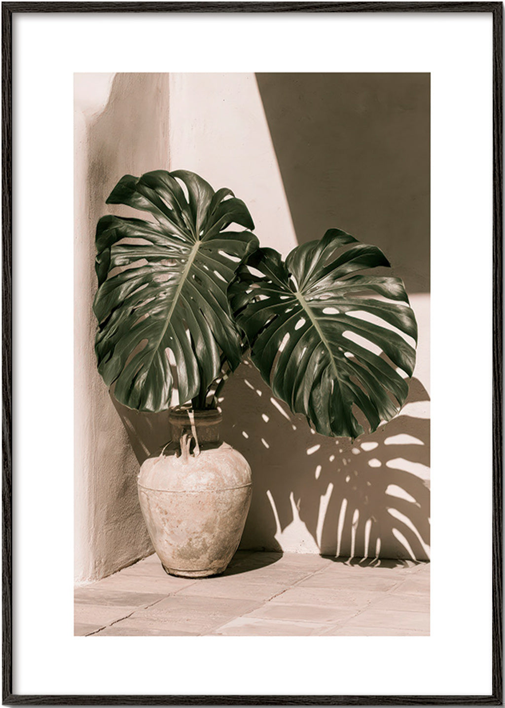 Botanický plakát Monstera v květináči