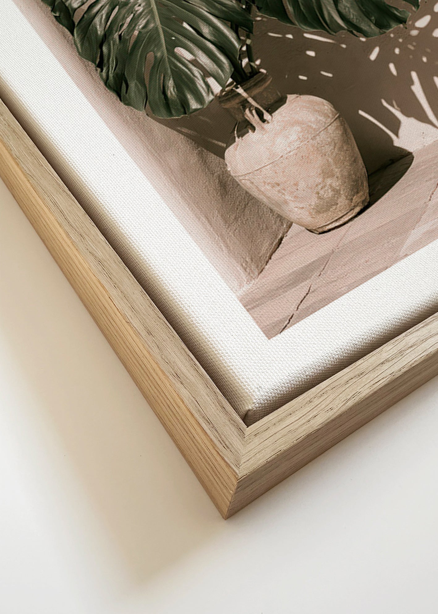 Botanický plakát Monstera v květináči