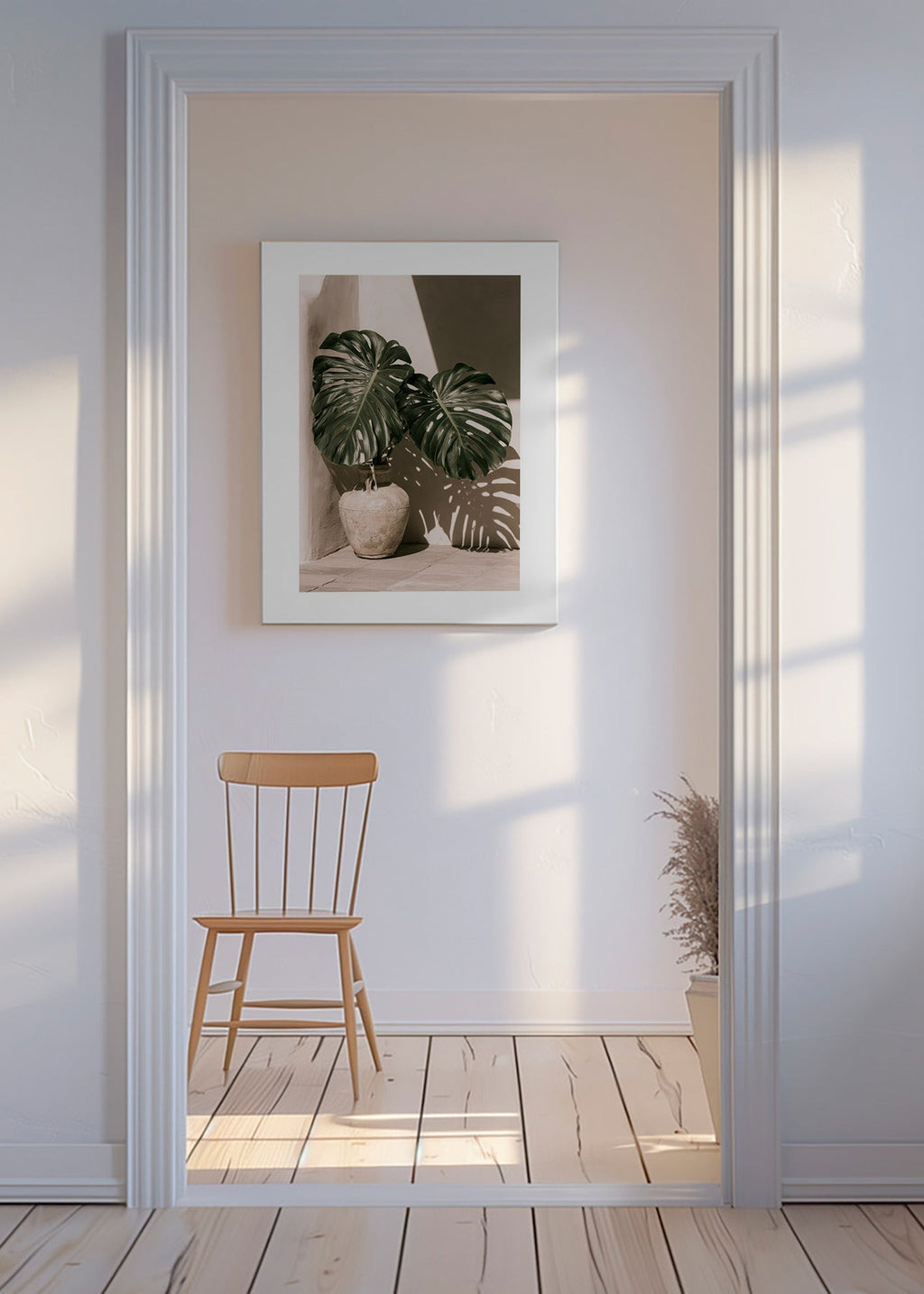 Botanický plakát Monstera v květináči