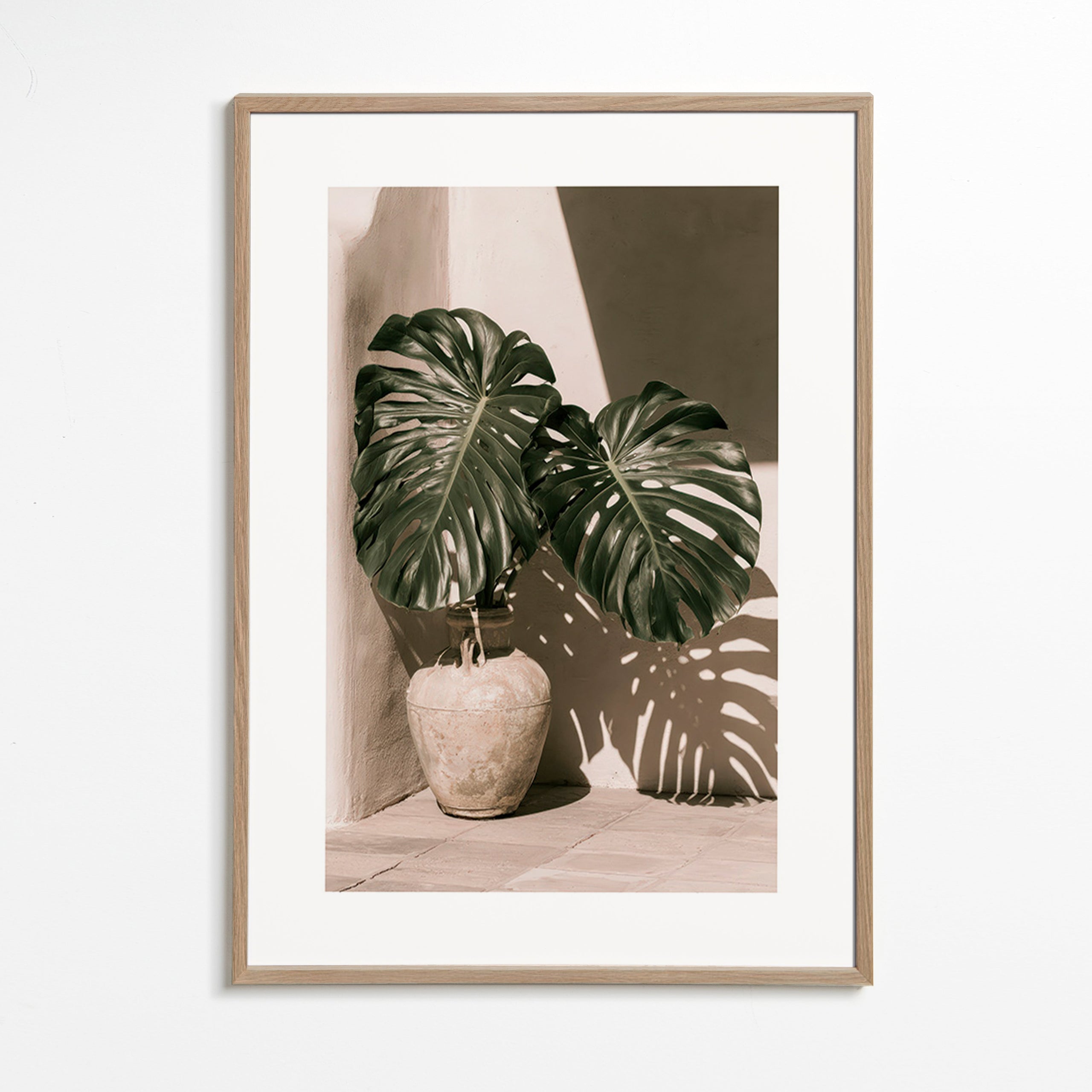 Botanický plakát Monstera v květináči